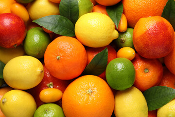 Different ripe citrus fruits as background, closeup