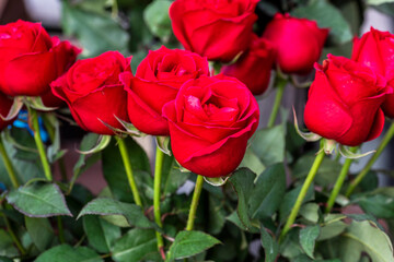 Red Rose Bouquet for Valentine's Day.