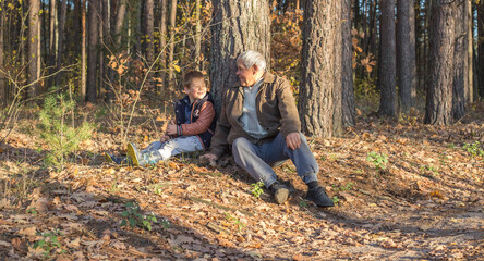 Naklejka na ściany i meble Happy child with Grandfather playing at the forest. Grandpa retiree. Retirement parent. Portrait of pensive senior man and his grandson. Senior man having fun with his grandchild outdoor.