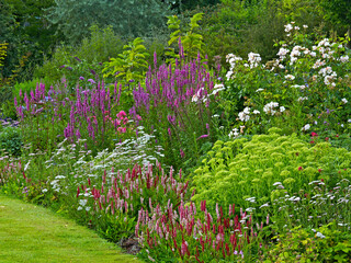 Colourful summer border at a French Country House garden
