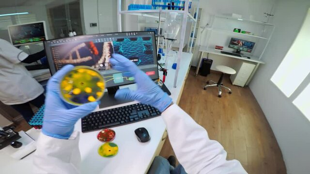 POV of chemist analysing bacteria culture from petri dish typing results in pc. Team of doctors examining vaccine evolution with high tech, chemistry tools for research in development of covid19 virus