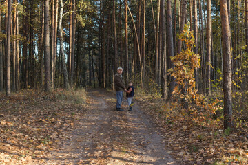 Fototapeta premium Happy child with Grandfather playing at the forest. Grandpa retiree. Retirement parent. Portrait of pensive senior man and his grandson. Senior man having fun with his grandchild outdoor.