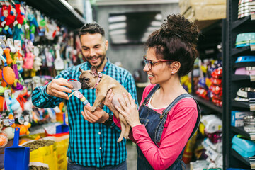 Happy couple buying toys for their French bulldog puppy in pet shop.