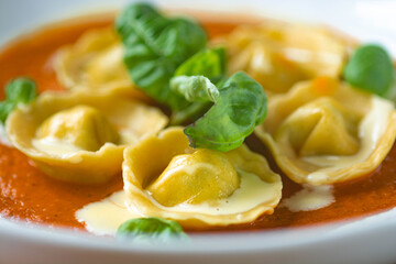 Homemade tortelli with tomato sauce , basil , parmesan shaving and sauce.
