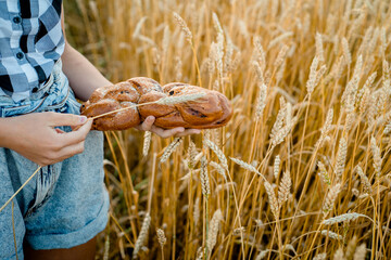 Happy girl walking in golden wheat,with her back, outdoor lifestyle. Freedom concept. Cute little...