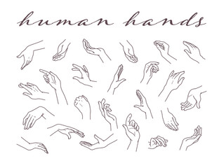 Collection of human hands  in different gestures and posses isolated on white background. Vector hand drawn line art illustration. For banners, ads, emblems, tags, packaging, logo, advertisement.