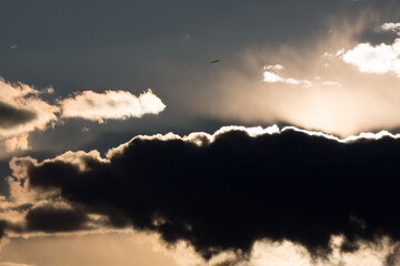 太陽に反射する雲と鳥の影