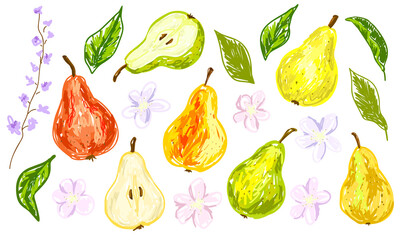 Pears, flowers and leaves. Set of colorful bright elements, collection for trendy summer design. Hand drawn vector. Isolated on white background. Clip-art for poster, print, frame, banner, flyer