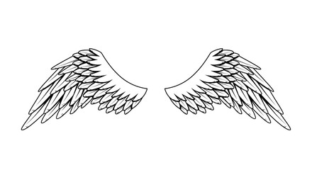 Vintage heraldic wings. Monochrome stylized birds wings. Design elements in coloring style. Abstract sketch