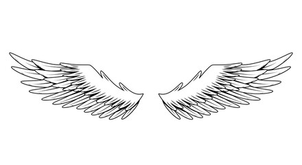 Vintage heraldic wings. Monochrome stylized birds wings. Design elements in coloring style. Abstract sketch