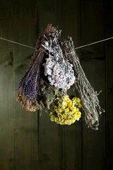 different bouquets of herbs hanging in front of green wooden wall