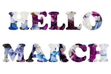 text hello march isolated on white, background from flowers. waiting for spring © Nastya