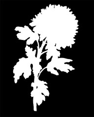White silhouette of hand drawn Chrysanthemum flower, stem and leaves isolated on black. Vector black and white freehand sketch. Design element for created hand drawn greeting card, poster, package.