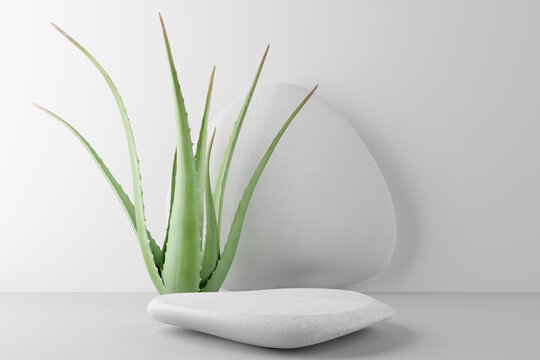 White stone podium, Cosmetic display stand with aloe vera on white background. 3D rendering	