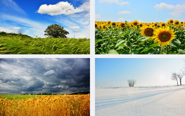Fototapeta na wymiar four seasons of year, winter, spring, summer and autumn, nature photo concept