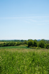 Fototapeta premium Summer countryside landscape in Belgium