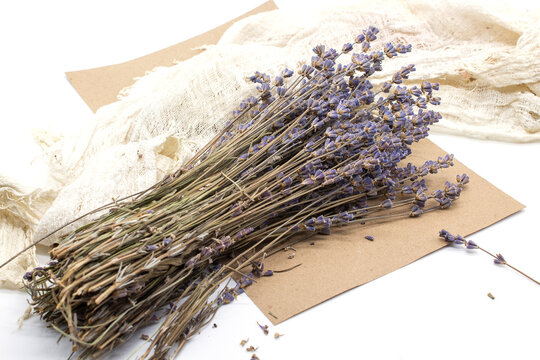 Photo Of Dried Flowers Dried Lavender Isolated On A White Background