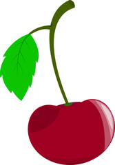 Illustration of juicy ripe cherries.