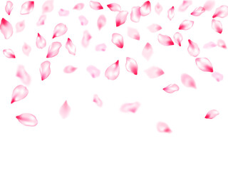 Spring tree flowers parts, airy flying petals