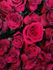 bouquet of  red roses 