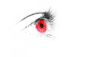 Vampire eye. Red pupil. Red eye isolated. Macro. The background is white.