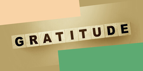Gratitude word on wooden cubes in black and white. Donation and charity concept