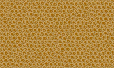 golden background with oval elements.