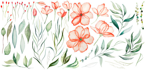 Watercolor rose roses and green leaves Illustrations