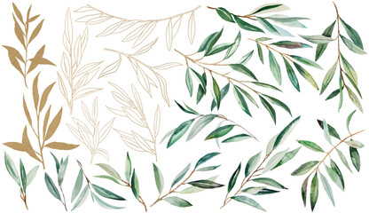 Watercolor Olive Branch Illustration