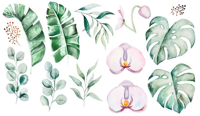 Watercolor tropical leaves and flowers illustration © katrinshine