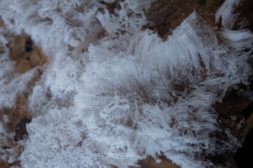 Snowy and cold pictures for a cozy warm beverage