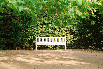 White wooden bench in park next to trimmed green bush on a sunny summer day