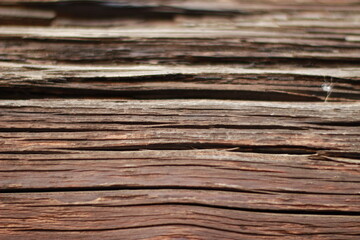 Wood background