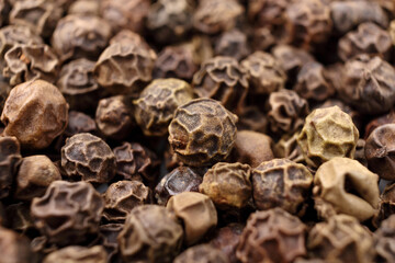 Close up of black peppercorn on pile of peppercorns, perspective view, small depth of focus.