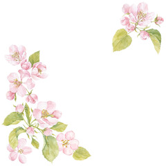 Obraz na płótnie Canvas Floral watercolor background with blooming apple tree branches and place for text on white. Invitation, greeting card or an element for your design. Corner composition.