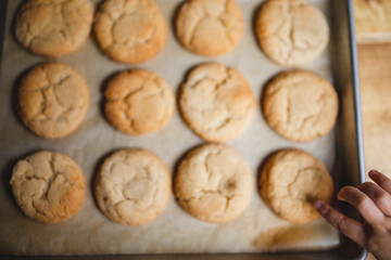a delicious looking batch of snickerdoodle cookies and some warm milk in a rustic looking cup. the cookies are freshly baked and have   Cinnamon and sugar on them. the cow milk is fresh and warm. 