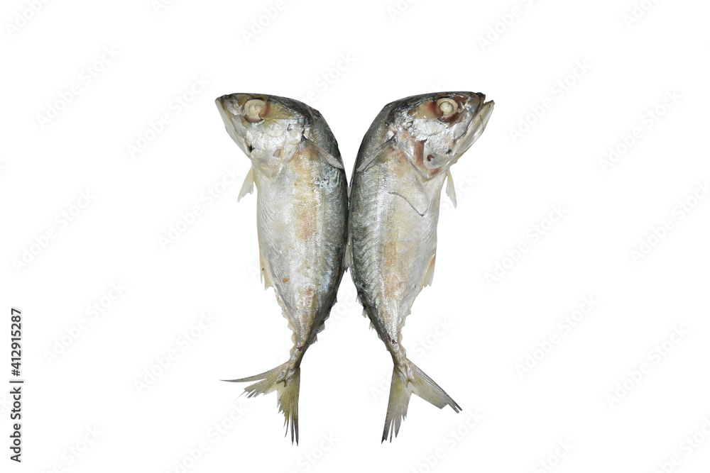 Wall mural two fish mackerels steamed isolated on white background.