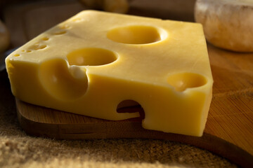a piece of maasdam cheese, delicious cheese and mushrooms on a cutting board against a background of burlap