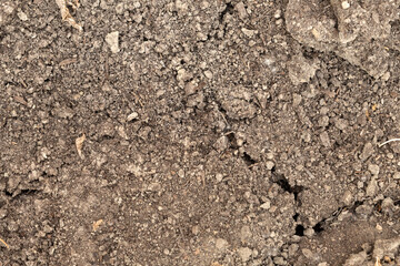 soil