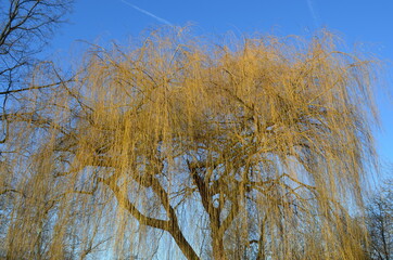 Unterbacher See - Düsseldorf