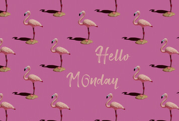 Fototapeta premium Hello Monday - text on pink background and flamingo pattern. Trendy minimal concept.