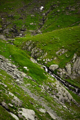 stream in the mountains