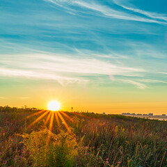 Obraz premium The first rays of the rising sun in a field on the outskirts of the city
