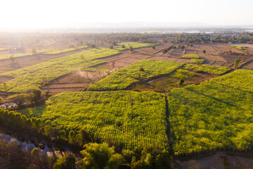 Aerial view drone farm and landscape in sunlight