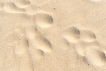 footprint in sand