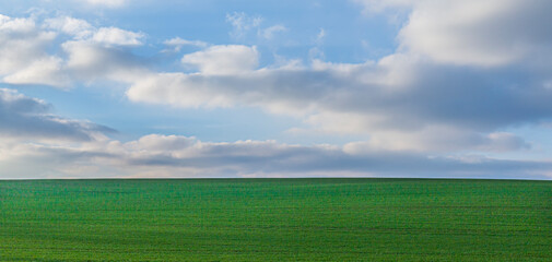 scenic landscape with green field and sblue sky with soft clouds as  background