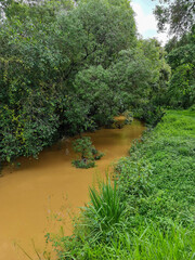 Obraz premium pond in the park