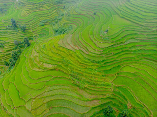 The valley of Pokhara in Nepal