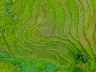 The valley of Pokhara in Nepal
