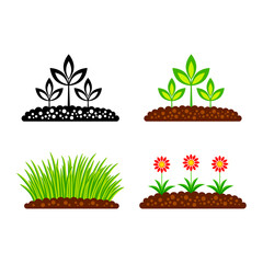 Plant vector icon on white background